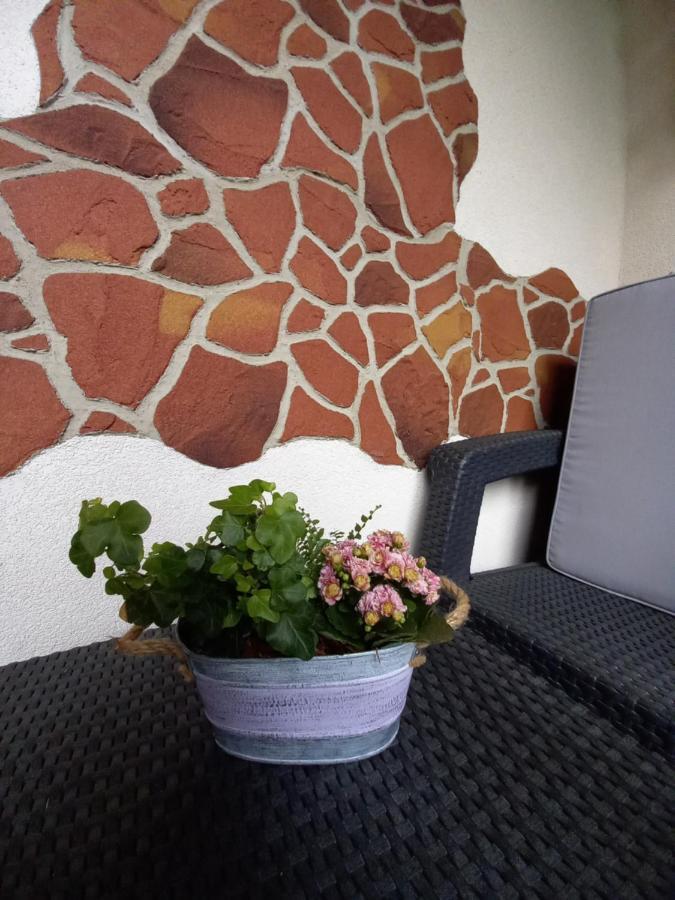 Apartman Erika - Бешенёва Экстерьер фото