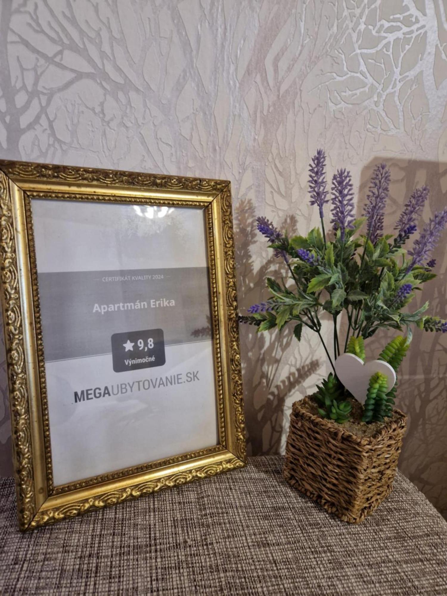 Apartman Erika - Бешенёва Экстерьер фото